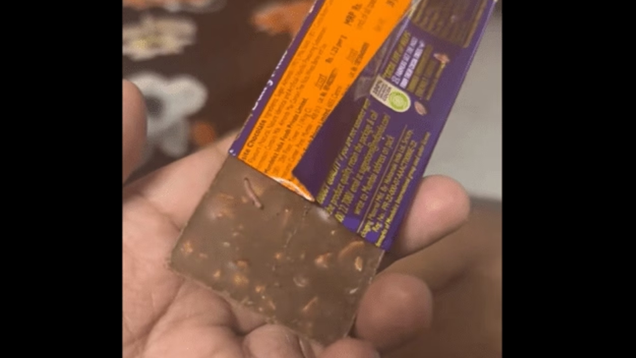 Dairy Milk Chocolate: Dairy milk with worms.. Shocked when they opened it