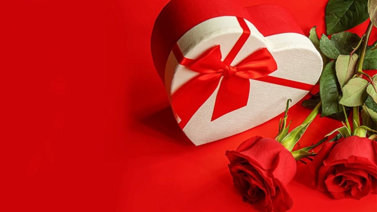 Valentine's Day: Do you know the significance of Rose Day?