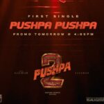 Pushpa 2 The Rule A surprising update from Pushpa