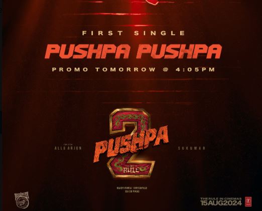 Pushpa 2 The Rule A surprising update from Pushpa